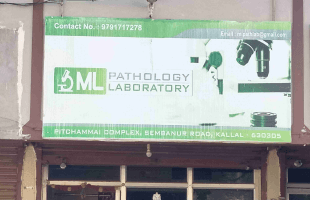ML LAB Blood Testing